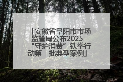 安徽省阜阳市市场监管局公布2025“守护消费”铁拳行动第一批典型案例