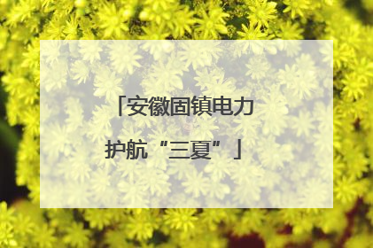 安徽固镇电力护航“三夏”