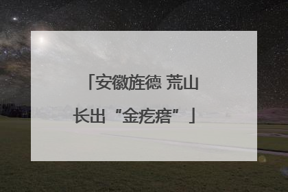 安徽旌德 荒山长出“金疙瘩”