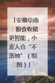 安徽阜南：粮食收储更智能，小麦入仓“不落地”（组图）