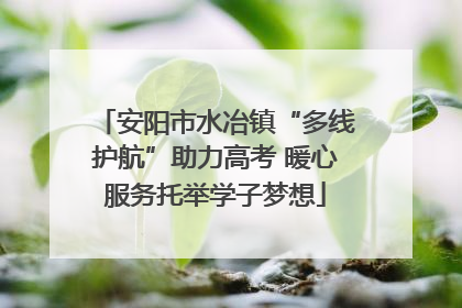 安阳市水冶镇“多线护航”助力高考 暖心服务托举学子梦想