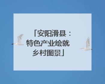 安阳滑县：特色产业绘就乡村图景