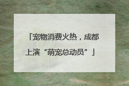 宠物消费火热，成都上演“萌宠总动员”