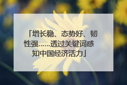 增长稳、态势好、韧性强……透过关键词感知中国经济活力