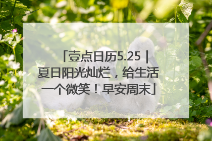 壹点日历5.25｜夏日阳光灿烂，给生活一个微笑！早安周末