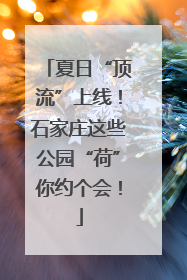夏日“顶流”上线！石家庄这些公园“荷”你约个会！