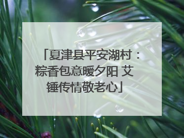 夏津县平安湖村：粽香包意暖夕阳 艾锤传情敬老心