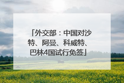 外交部：中国对沙特、阿曼、科威特、巴林4国试行免签