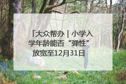 大众帮办｜小学入学年龄能否“弹性”放宽至12月31日？有地方已在探索