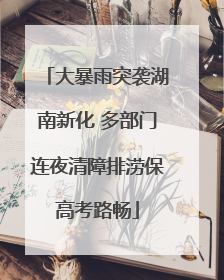 大暴雨突袭湖南新化 多部门连夜清障排涝保高考路畅