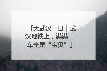 大武汉一日｜武汉地铁上，满满一车全是“宝贝”