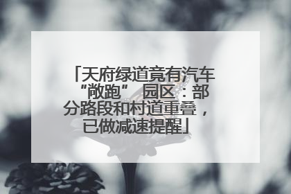 天府绿道竟有汽车“敞跑” 园区：部分路段和村道重叠，已做减速提醒