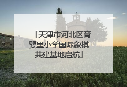 天津市河北区育婴里小学国际象棋共建基地启航