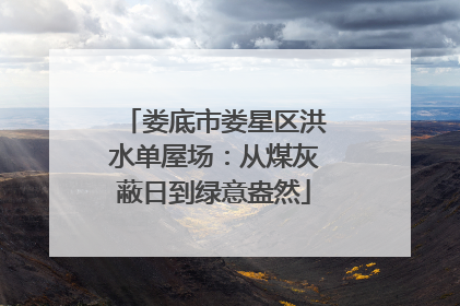 娄底市娄星区洪水单屋场：从煤灰蔽日到绿意盎然