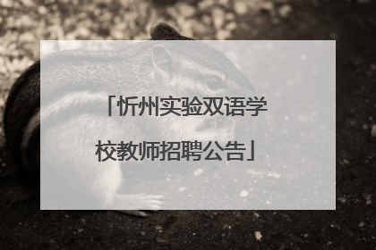 忻州实验双语学校教师招聘公告