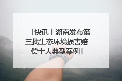快讯丨湖南发布第三批生态环境损害赔偿十大典型案例