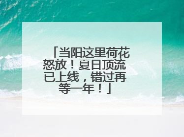 当阳这里荷花怒放！夏日顶流已上线，错过再等一年！