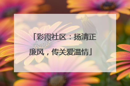 彩霞社区：扬清正廉风，传关爱温情