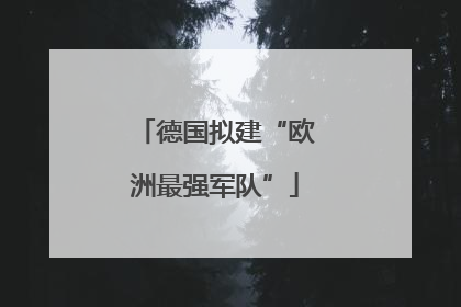 德国拟建“欧洲最强军队”