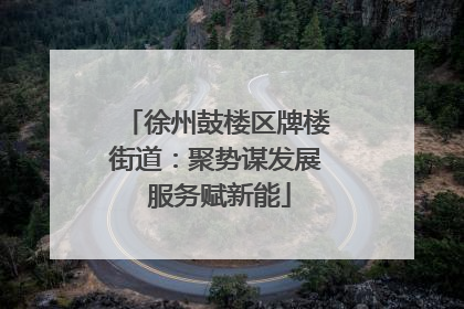 徐州鼓楼区牌楼街道：聚势谋发展 服务赋新能