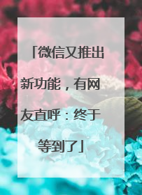 微信又推出新功能，有网友直呼：终于等到了