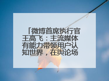微博首席执行官王高飞：主流媒体有能力带领用户认知世界，在舆论场中搭建理性的讨论空间
