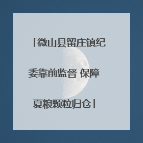 微山县留庄镇纪委靠前监督 保障夏粮颗粒归仓