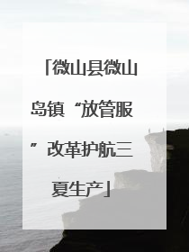 微山县微山岛镇“放管服”改革护航三夏生产