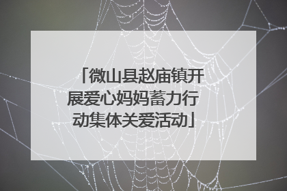 微山县赵庙镇开展爱心妈妈蓄力行动集体关爱活动