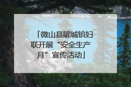 微山县驩城镇妇联开展“安全生产月”宣传活动