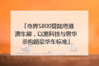 尊界S800登陆粤港澳车展，以黑科技与奢华重构超豪华车标准