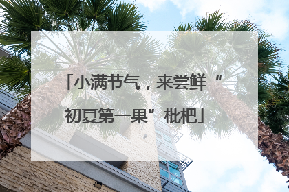 小满节气，来尝鲜“初夏第一果”枇杷