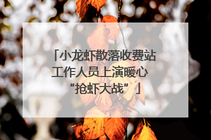 小龙虾散落收费站 工作人员上演暖心“抢虾大战”