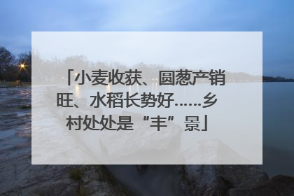 小麦收获、圆葱产销旺、水稻长势好……乡村处处是“丰”景