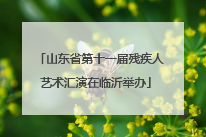 山东省第十一届残疾人艺术汇演在临沂举办