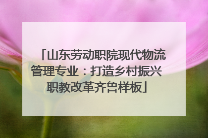 山东劳动职院现代物流管理专业：打造乡村振兴职教改革齐鲁样板