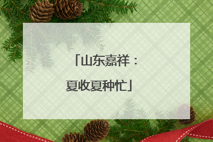 山东嘉祥：夏收夏种忙
