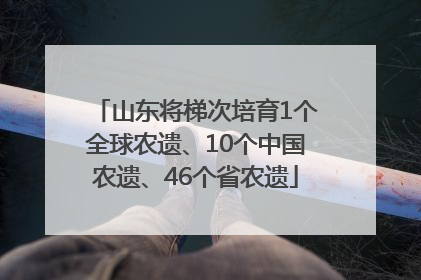 山东将梯次培育1个全球农遗、10个中国农遗、46个省农遗