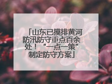 山东已摸排黄河防汛防守重点百余处！“一点一策”制定防守方案