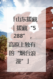 山东援藏｜援藏“5288”，高原上独有的“烟台浪漫”