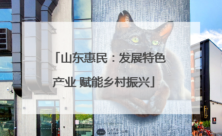 山东惠民：发展特色产业 赋能乡村振兴