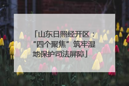 山东日照经开区：“四个聚焦”筑牢湿地保护司法屏障