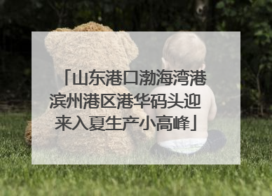 山东港口渤海湾港滨州港区港华码头迎来入夏生产小高峰