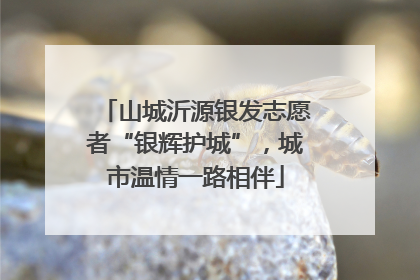 山城沂源银发志愿者“银辉护城”，城市温情一路相伴