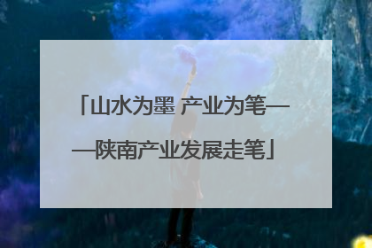 山水为墨 产业为笔——陕南产业发展走笔