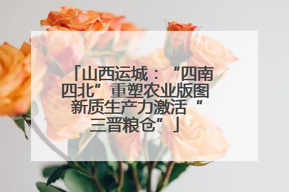 山西运城：“四南四北”重塑农业版图 新质生产力激活“三晋粮仓”