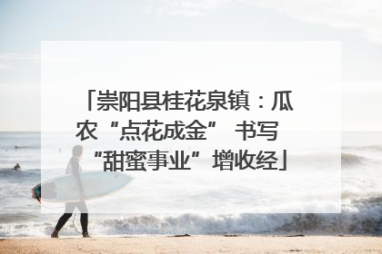 崇阳县桂花泉镇：瓜农“点花成金” 书写“甜蜜事业”增收经