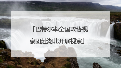 巴特尔率全国政协视察团赴湖北开展视察