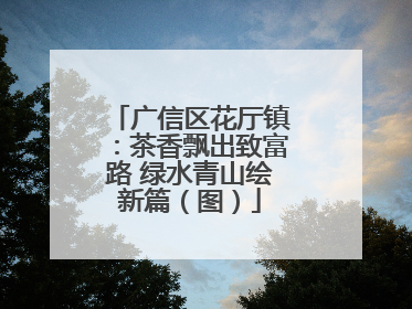 广信区花厅镇：茶香飘出致富路 绿水青山绘新篇（图）