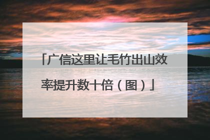 广信这里让毛竹出山效率提升数十倍（图）